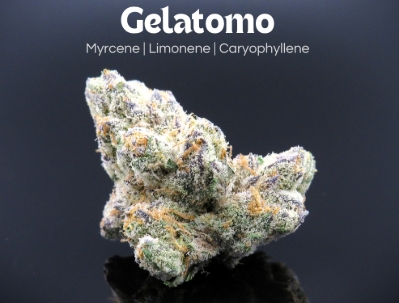 Photograph of product: Gelatomo | 2.83g