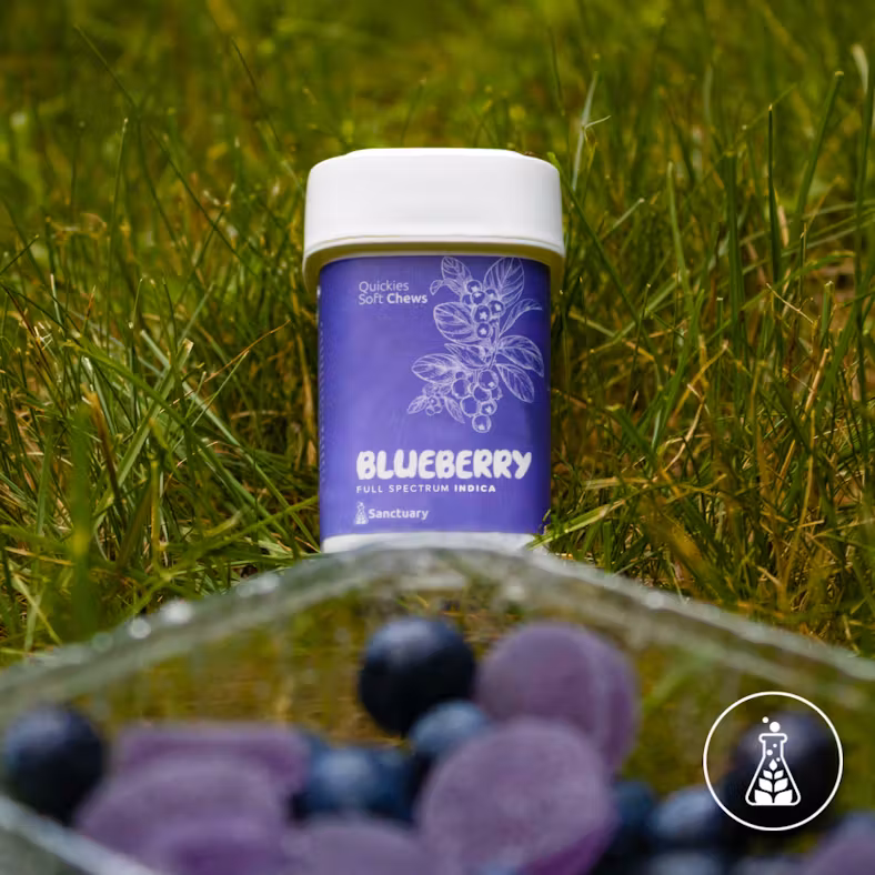 Photograph of product: Blueberry | Quickies | 20 Pack