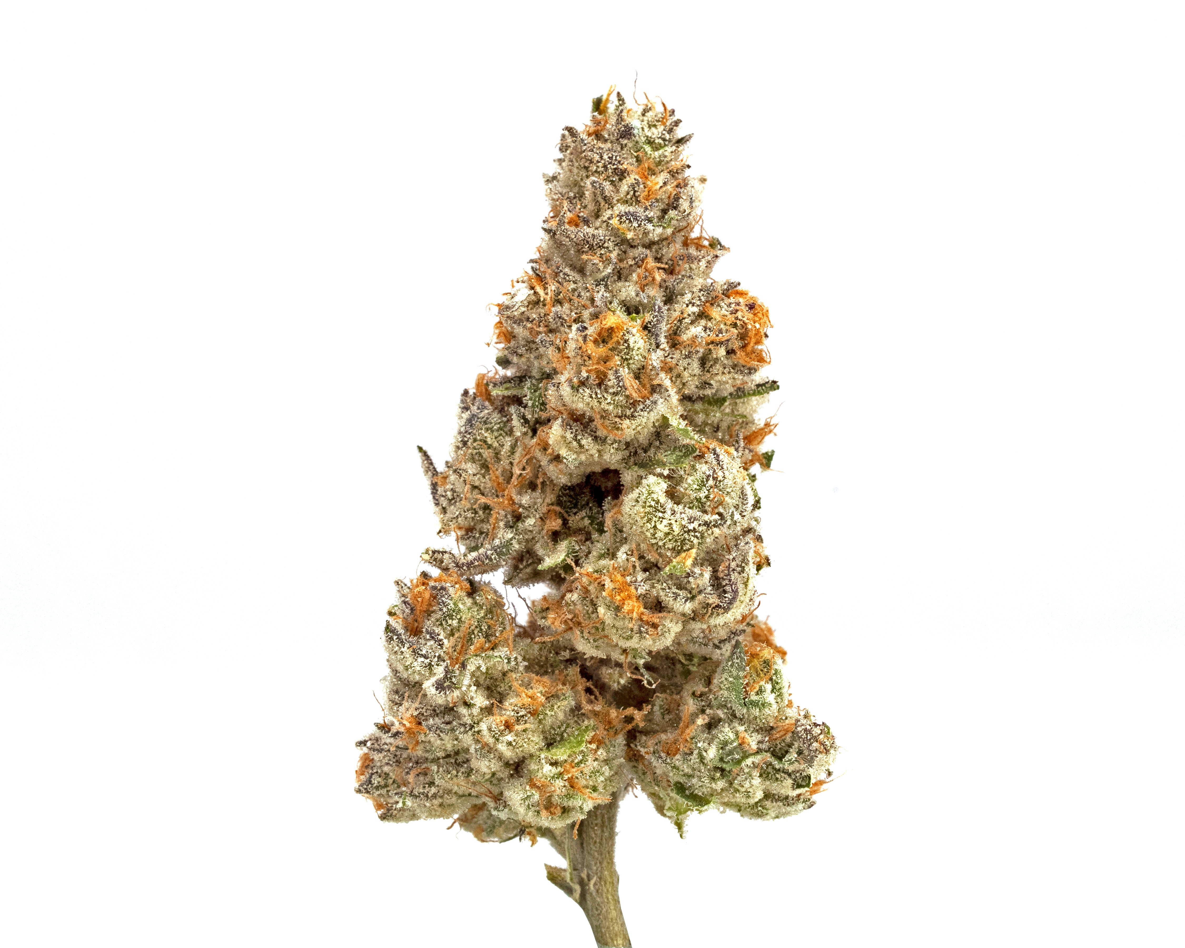 Photograph of product: WonderBrett Melon OG Flower (REC) - 3.5g