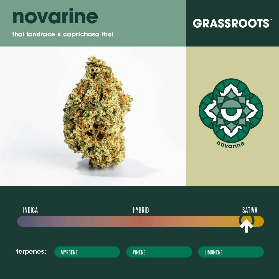 Photograph of product: Novarine (S) [2.83g] - 