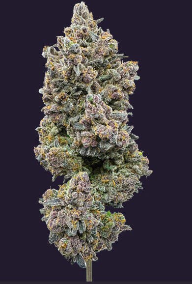 Photograph of product: Trifecta Farms | Fruit Pebblez 3.5g Flower