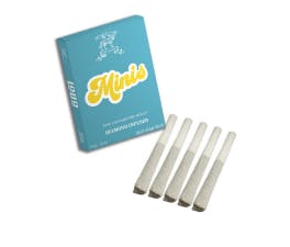 Photograph of product: Biscotti | 5pk | 2.5g