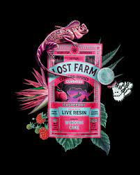 Photograph of product: Gummies | Raspberry x Wedding Cake (I/H) | Lost farms