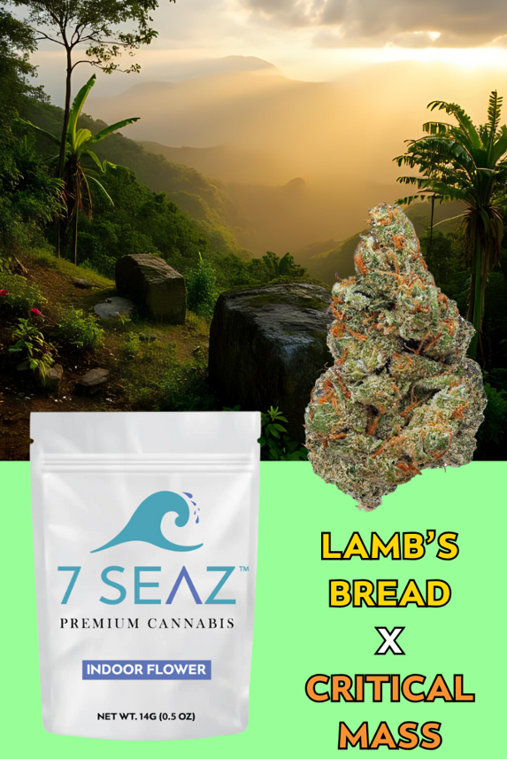 Photograph of product: Lamb's Bread x Critical Mass Flower | Hybrid | 7 Seaz - 14g