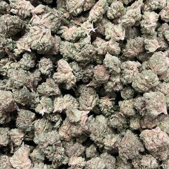 Photograph of product: Zazul | Black Label - REC