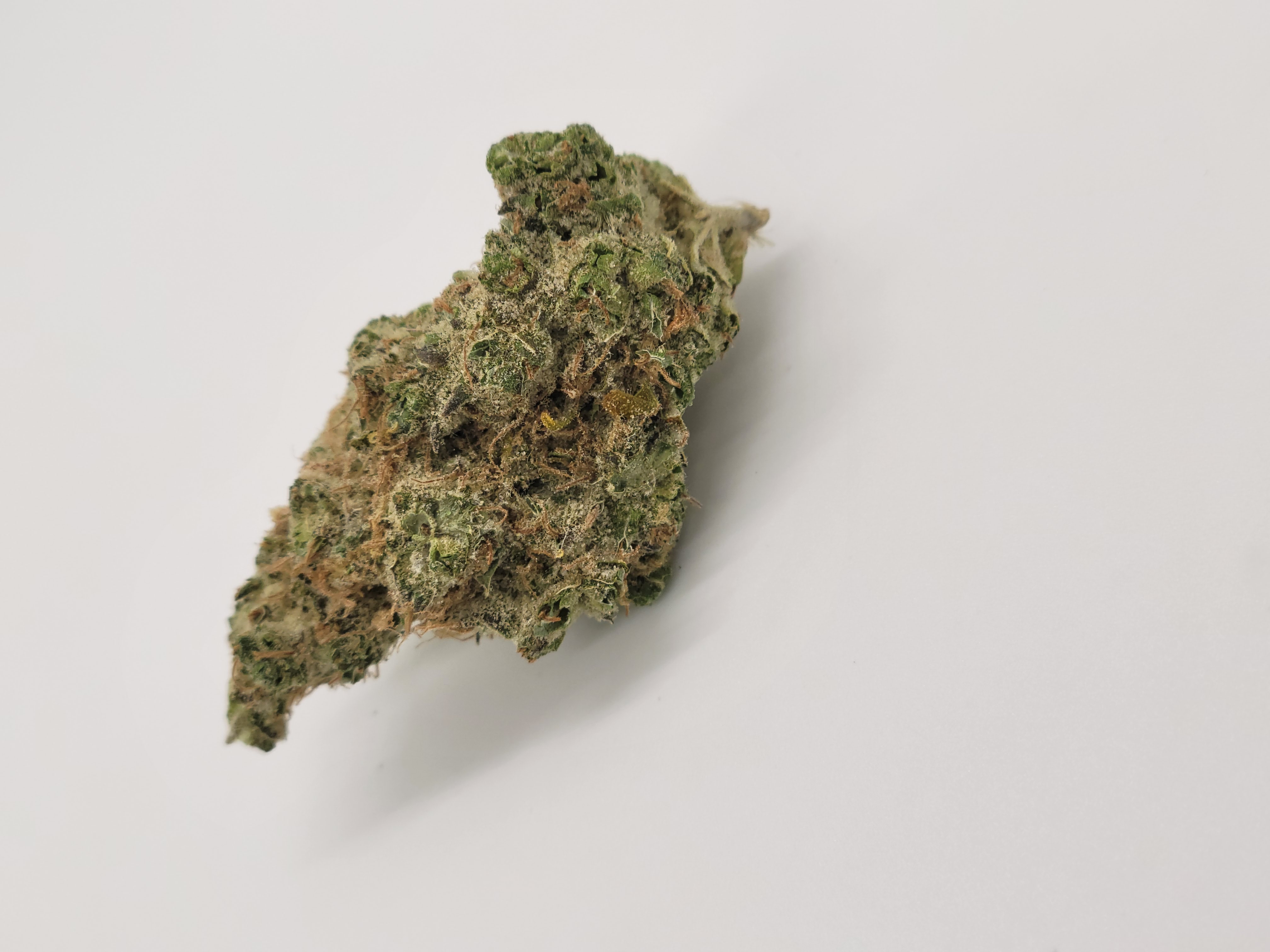 Photograph of product: PEYOTE FORUM OUNCE