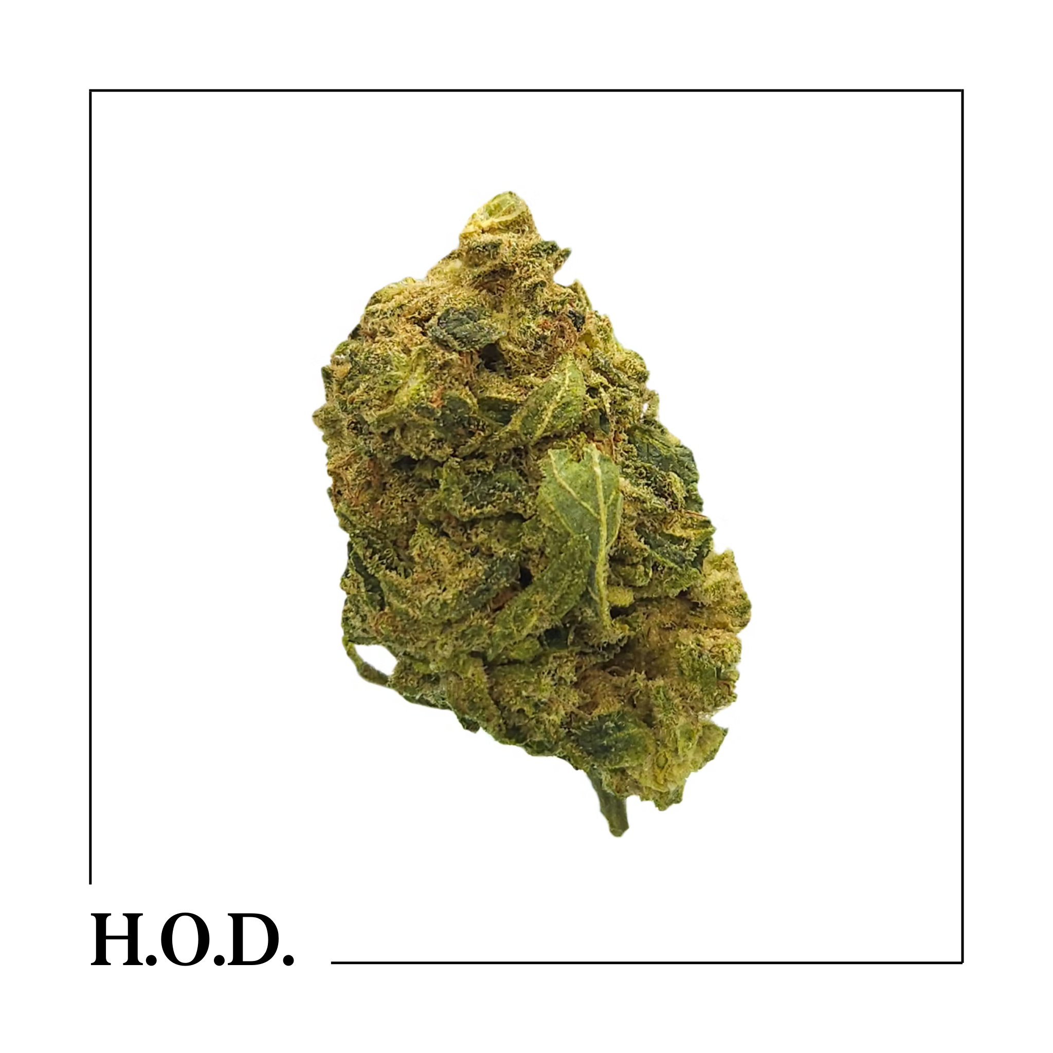 Photograph of product: GuerillaGrown High Society 28g