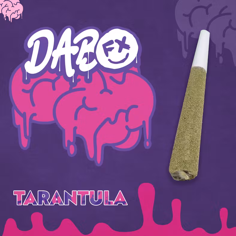 Photograph of Product: Melon Haze | Infused Preroll | 1g