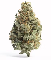 Photograph of product: Super Glue - 14g