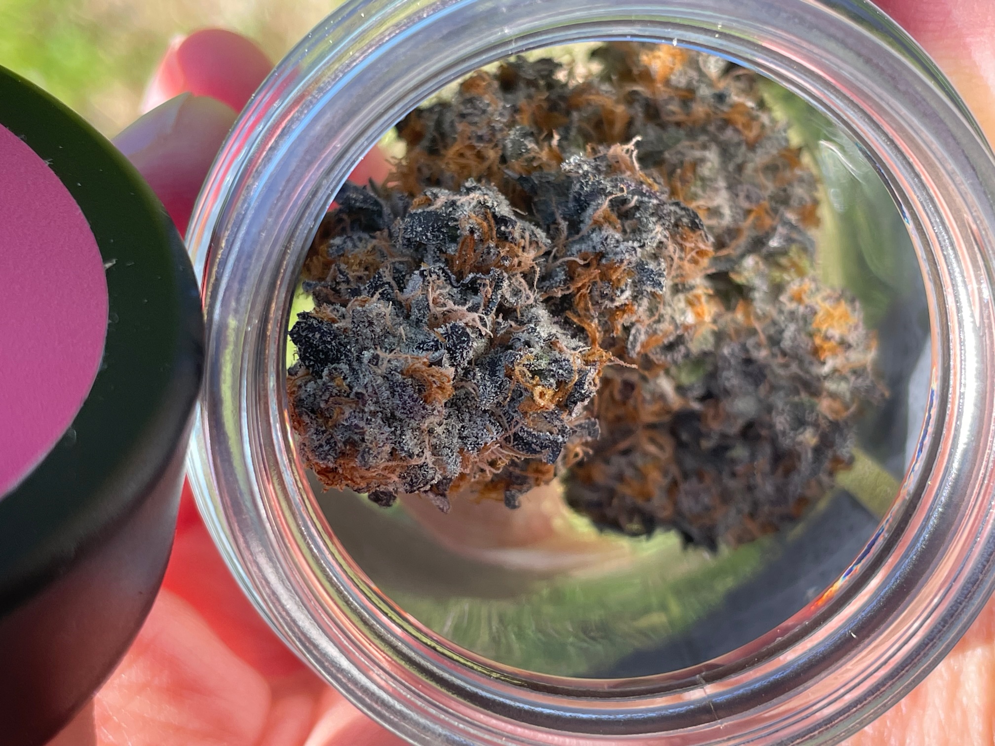 Photograph of product: Clarkies | Flower | Clarkies Crush | Indica - 3.5g