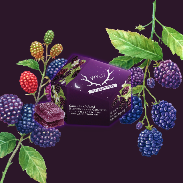 Photograph of product: GUMMIES | BOYSENBERRY 1:1:1