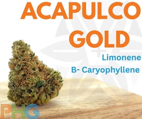 Photograph of product: Acapulco Gold -  7g