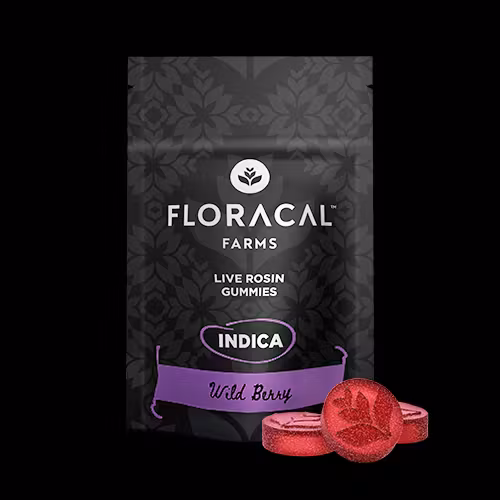 Photograph of product: Wild Berry | Gummies | 100mg