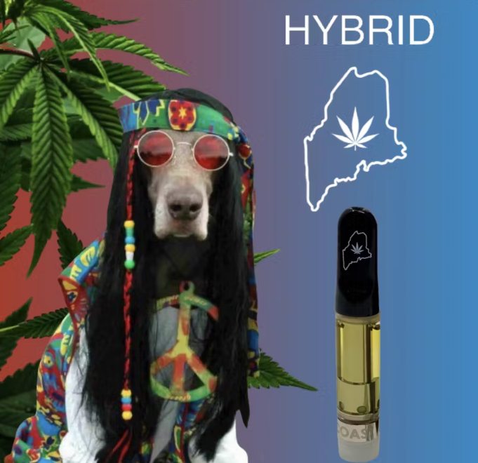 Photograph of product: High Coast Headband Distillate Cart 1mL