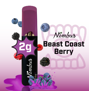 Photograph of product: Beast Coast Berry Disposable (2g)