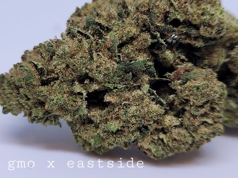 Photograph of product: GMO x Eastside | Flower | Pre-Packaged
