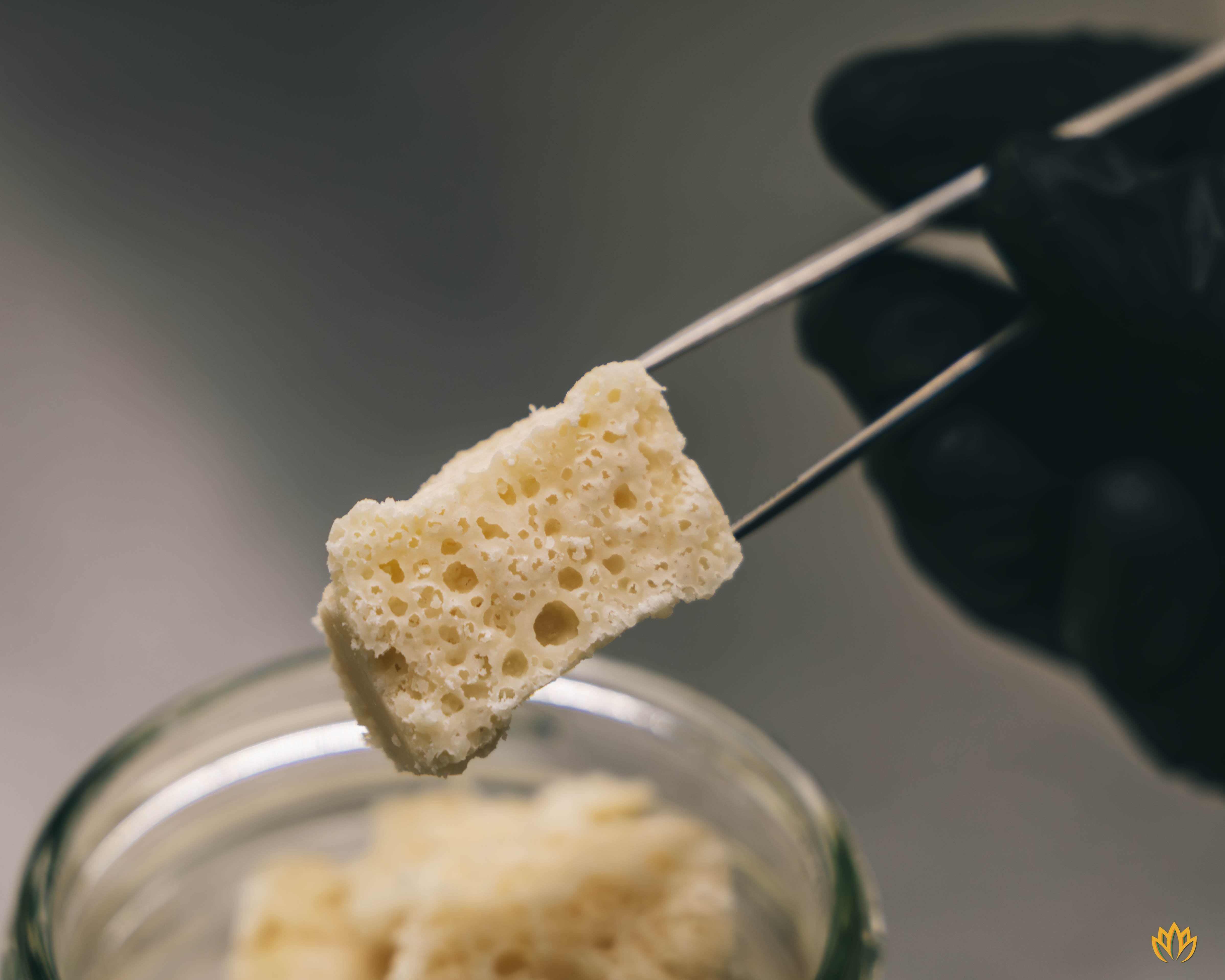 Photograph of product: GMO BHO Crumble