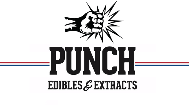 Photograph of product: Mint Dark Chocolate PunchBar | 100mg - 