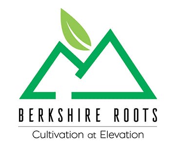 Photograph of product: Berkshire Roots Infused Preroll (0.75g) Orange Chemeleon