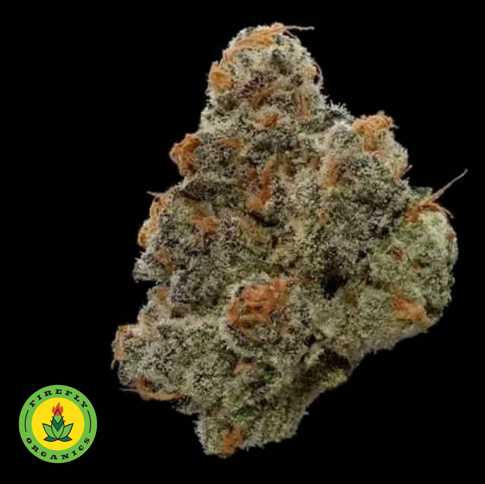 Photograph of product: MacRib cultivated by Firefly Organics - 28g