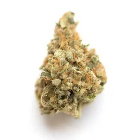 Photograph of product: (H) Sugar Cane