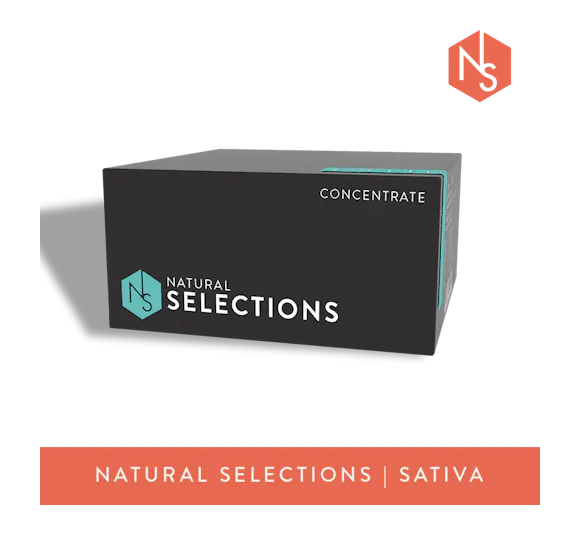 Photograph of product: Natural Selections | Super Lemon Haze | Live Resin Badder | 1g