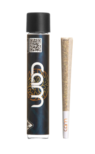 Photograph of product: Dosi Kush Pre Roll