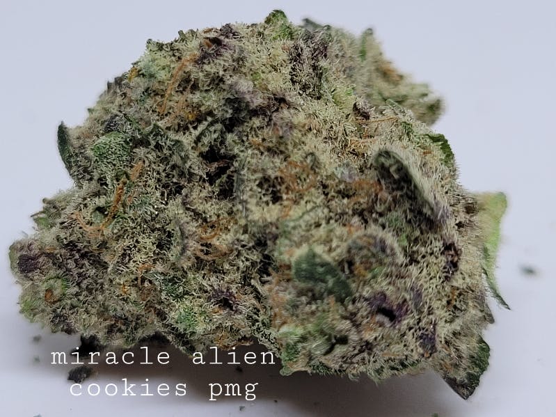 Photograph of product: MAC 27% by PMG