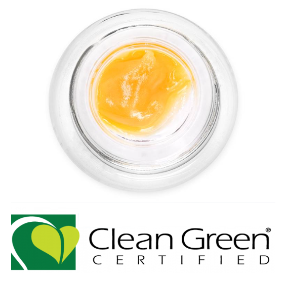Photograph of product: SHERBERT HAZE LIVE RESIN BADDER
