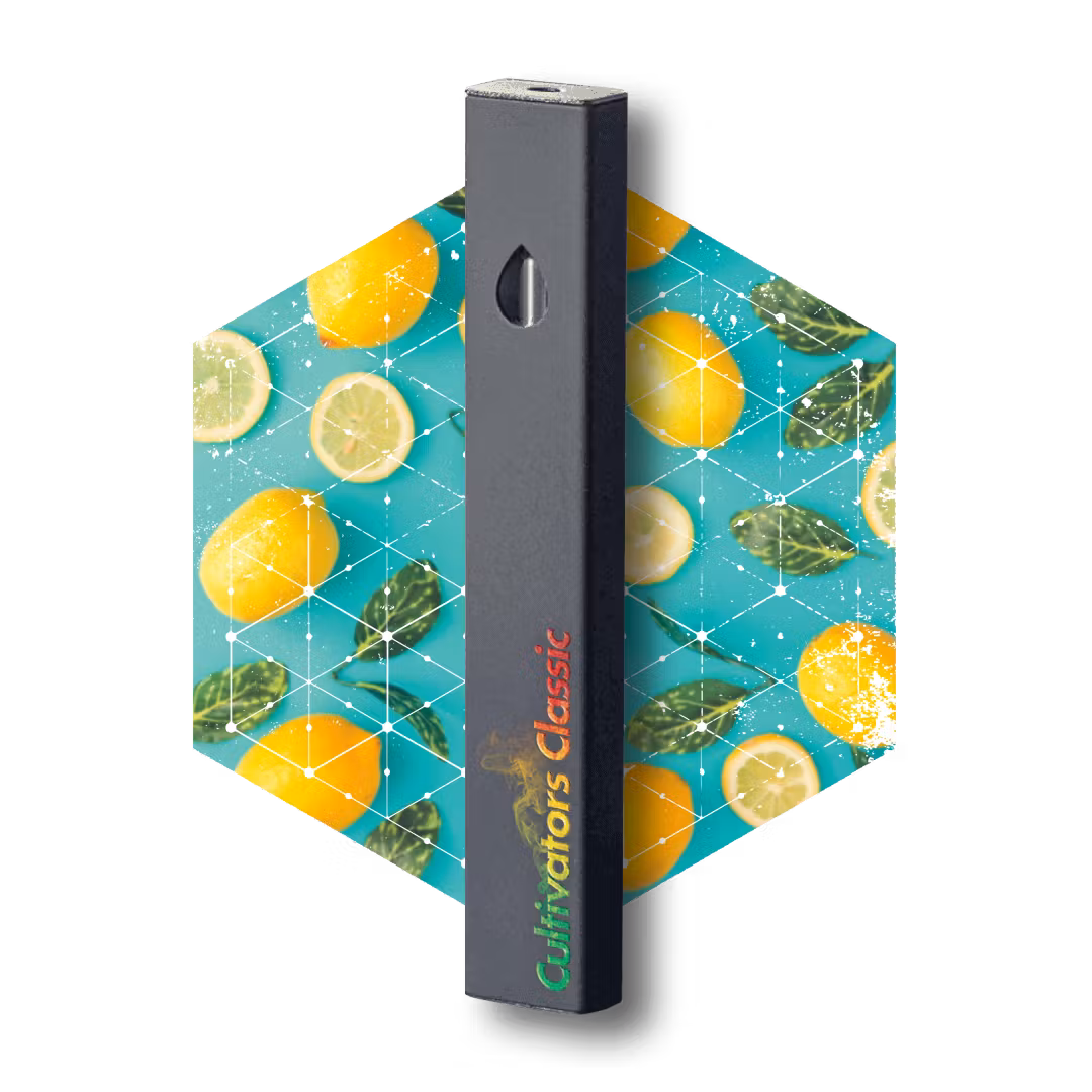 Photograph of product: Lemon Slushie | 1g Disposable