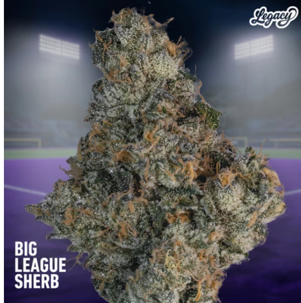 Photograph of product: Legacy Blunt -Big League Sherb #4 2g