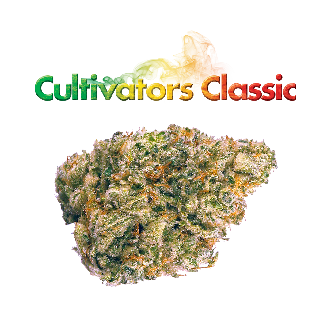 Photograph of product: Champaya - 3.5g