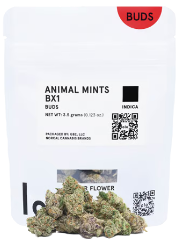 Photograph of product: 3.5g Animal Mints BX1 Buds - Lolo