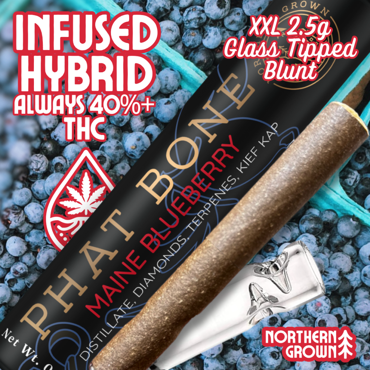 Photograph of product: Maine Blueberry Phat Bone Infused Cannagar | Pre Rolls | 2.5g