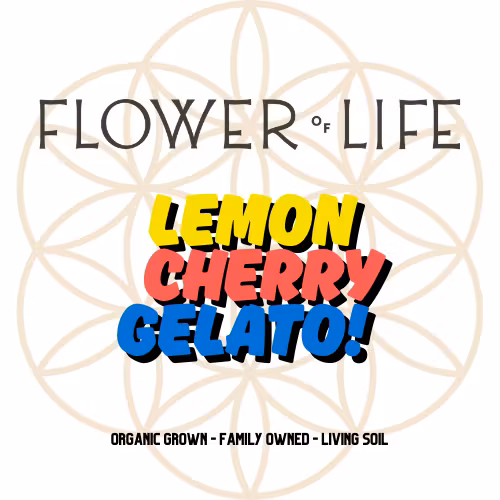 Photograph of product: Flower Of Life - Lemon Cherry Gelato - Organic Bulk Flower - Hybrid - 1g