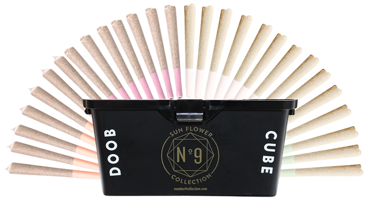 Photograph of product: Doob Cube Max Pre-roll Variety Pack | 28g