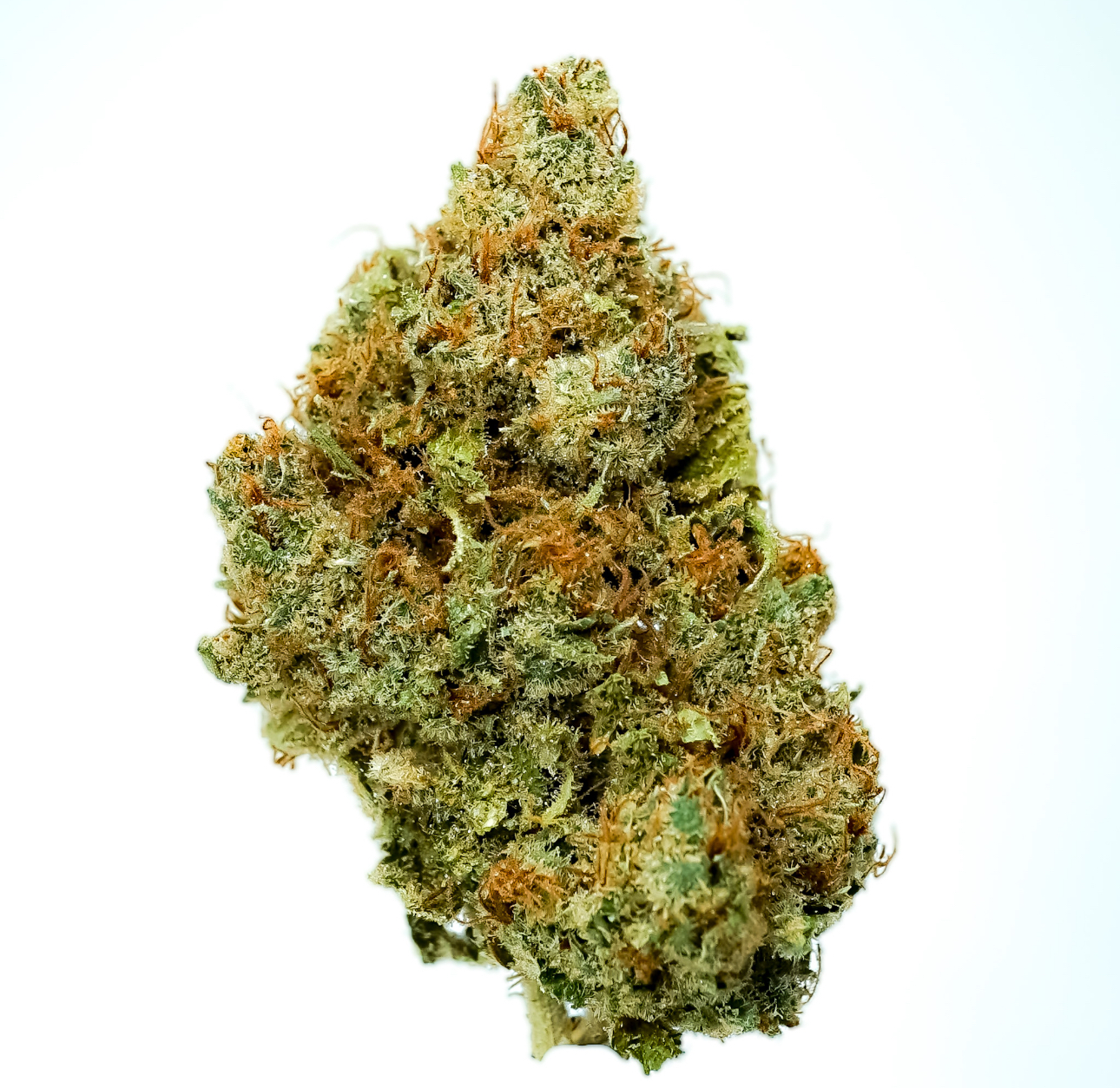 Photograph of product: Pruf Cultivar Banana Fudge Pop - 28g