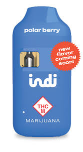 Photograph of product: Indi Polar Berry Disposable Vape (1g)