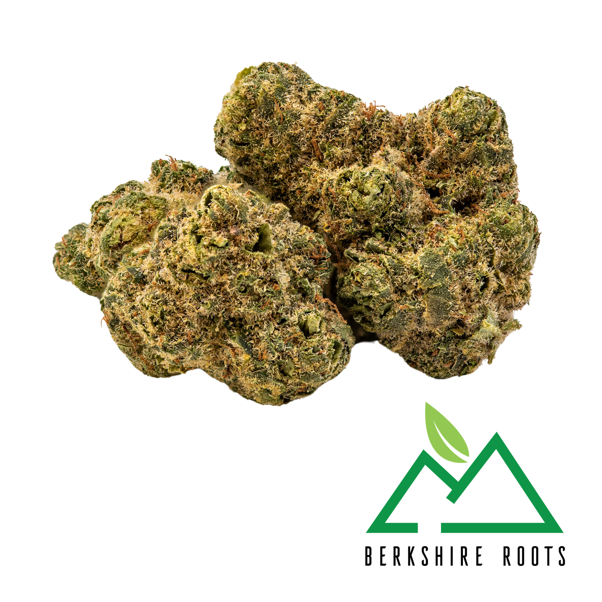 Photograph of product: Grand Daddy Purple | 3.5g