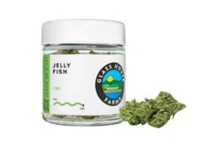 Photograph of product: GlassHouse - Jelly Fish 3.5g