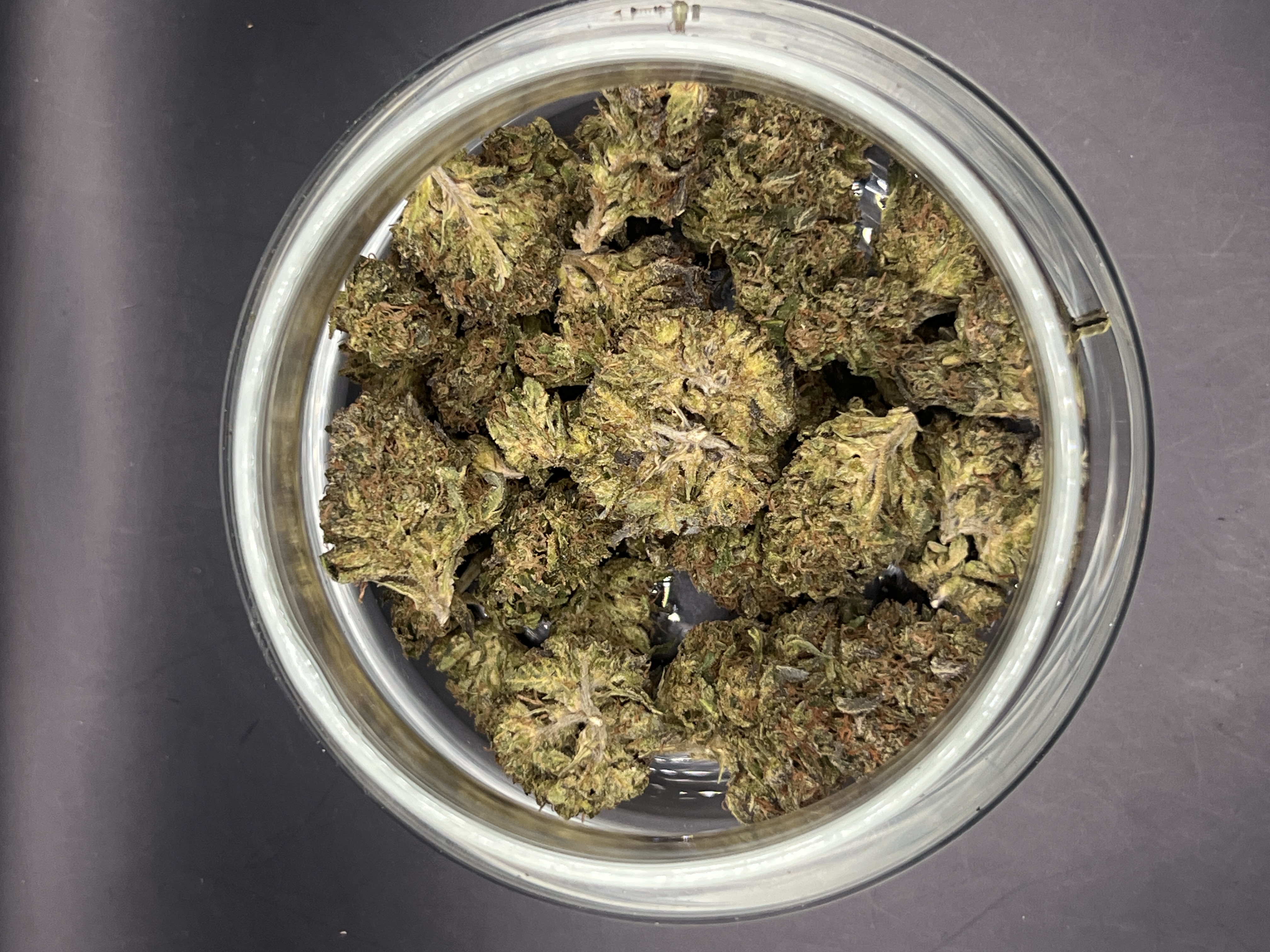 Photograph of product: Notorious (Bishop Orchard) 21.47% - 28g