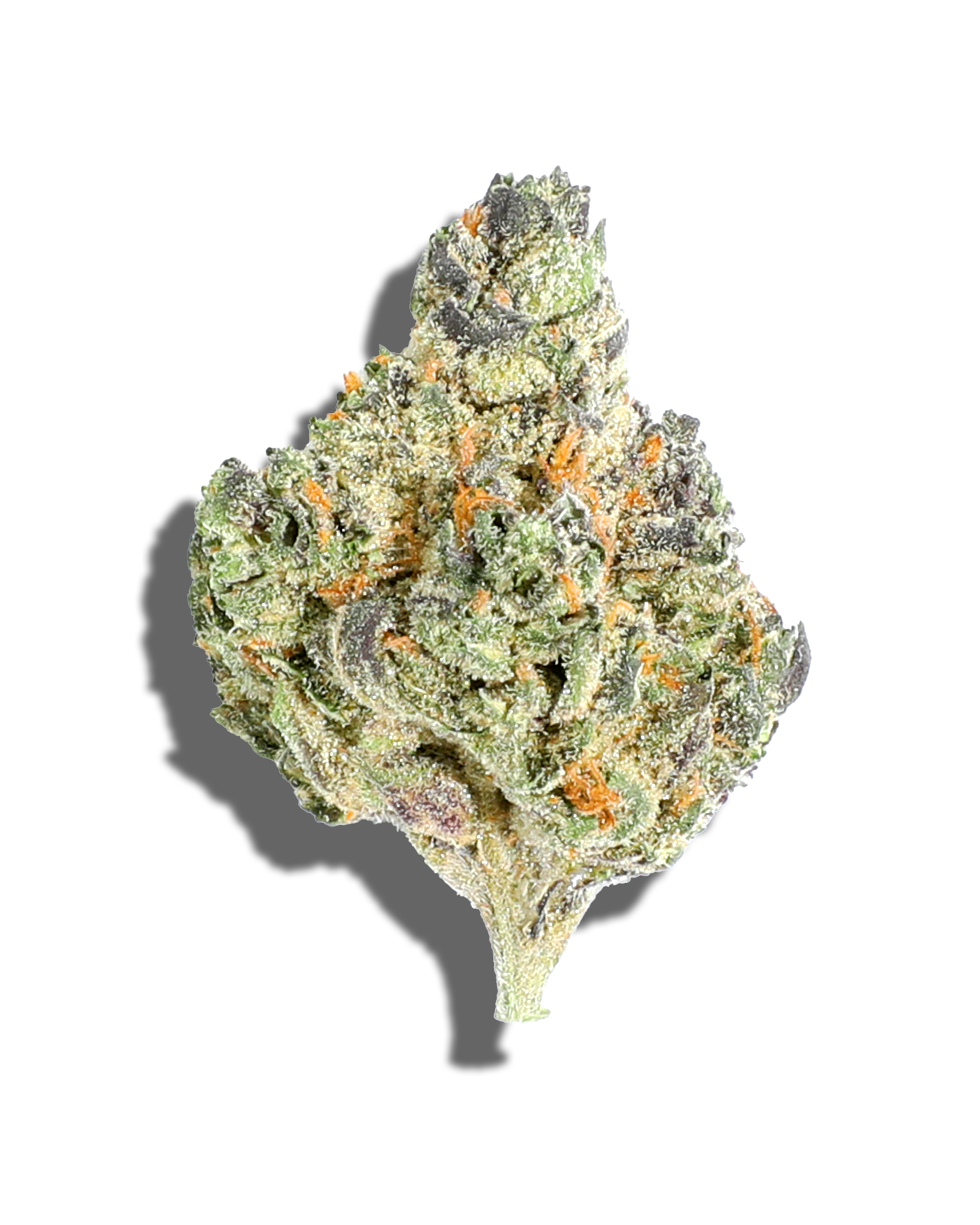 Photograph of product: ALPHA DOG 1OZ - 28g