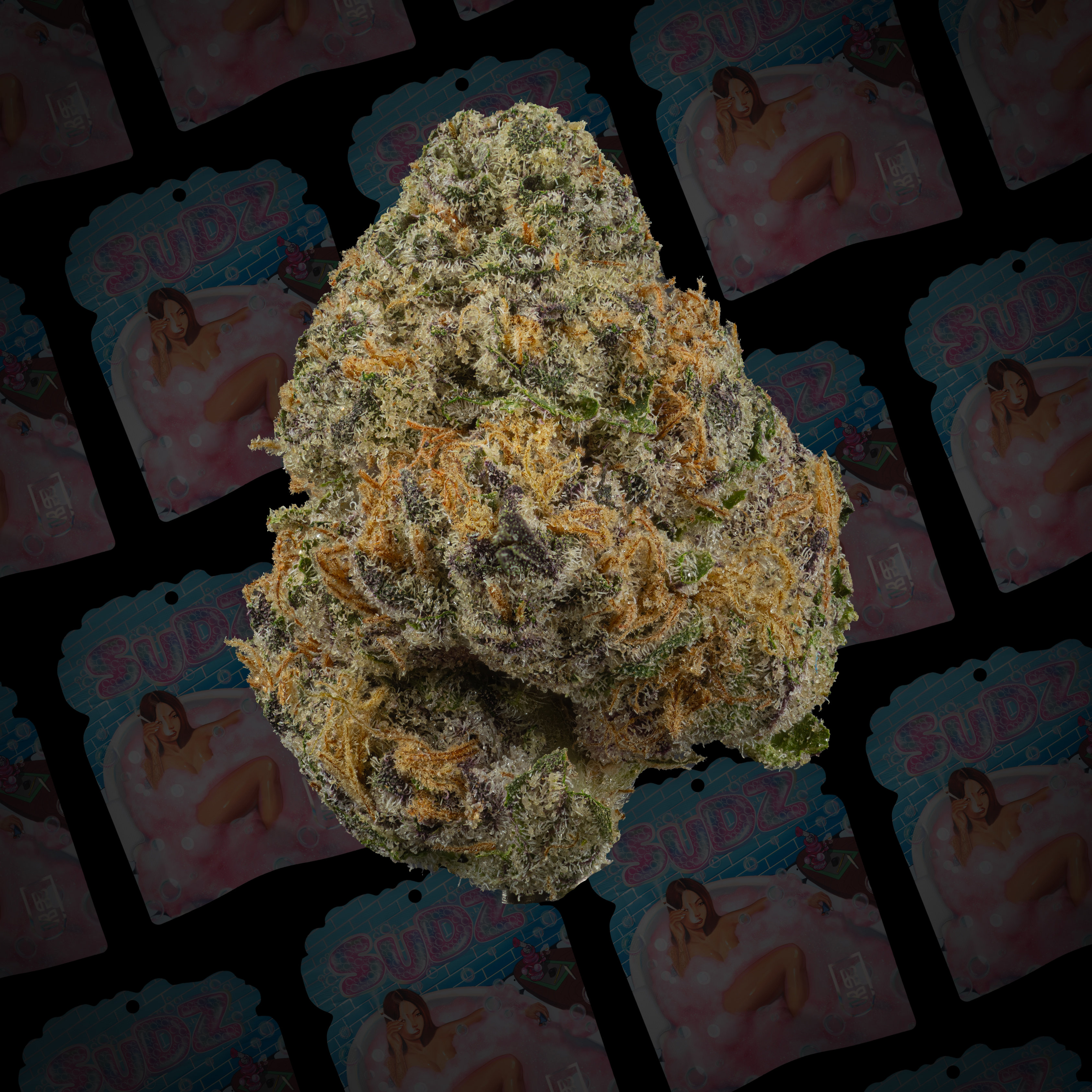 Photograph of Product: Rkive | Sudz Pre-Pack Flower - 3.5g