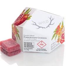 Photograph of product: Wyld 1:1 CBD Pomegranate Gummy