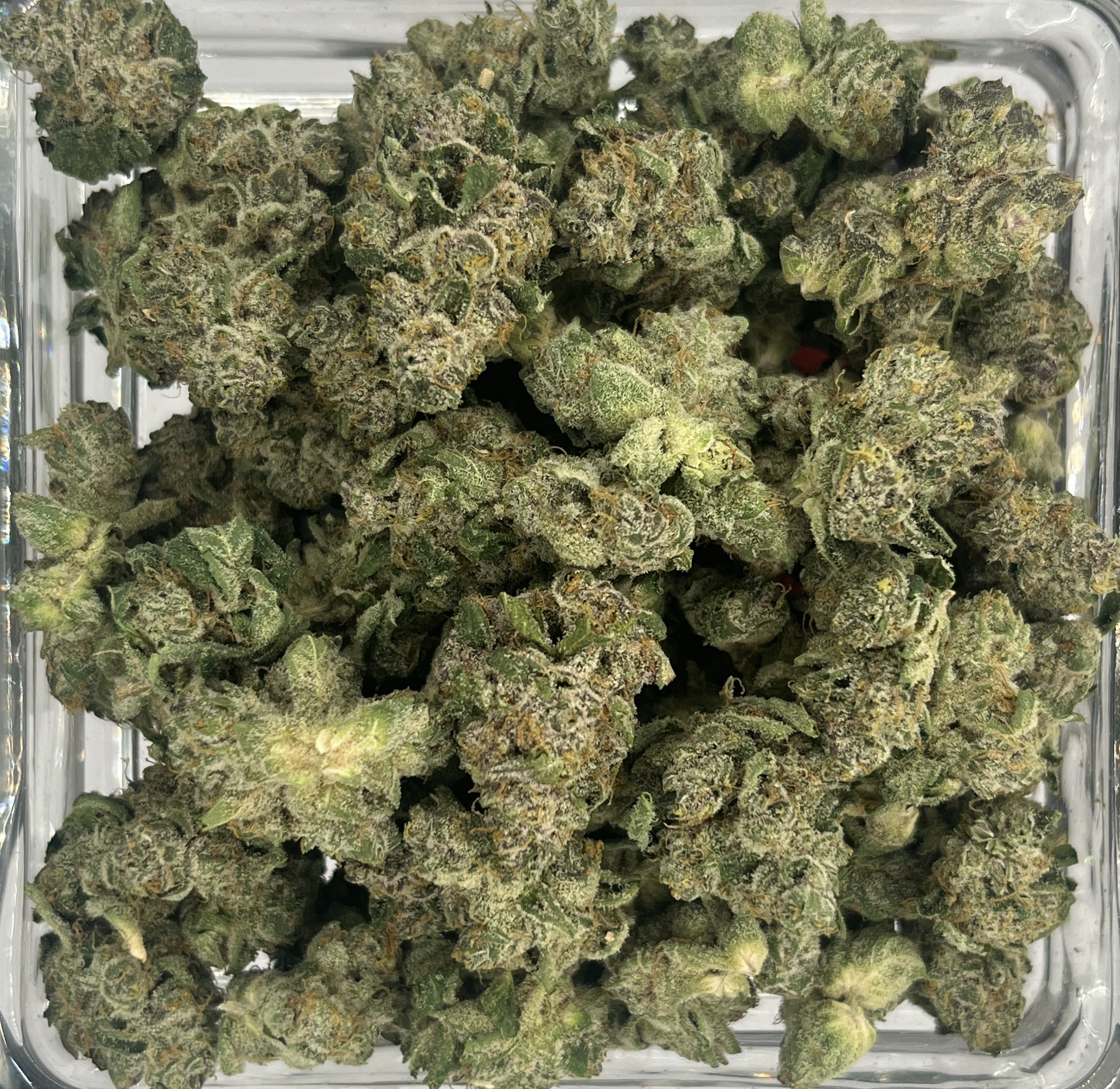 Photograph of product: Flower - Point Break - 28g