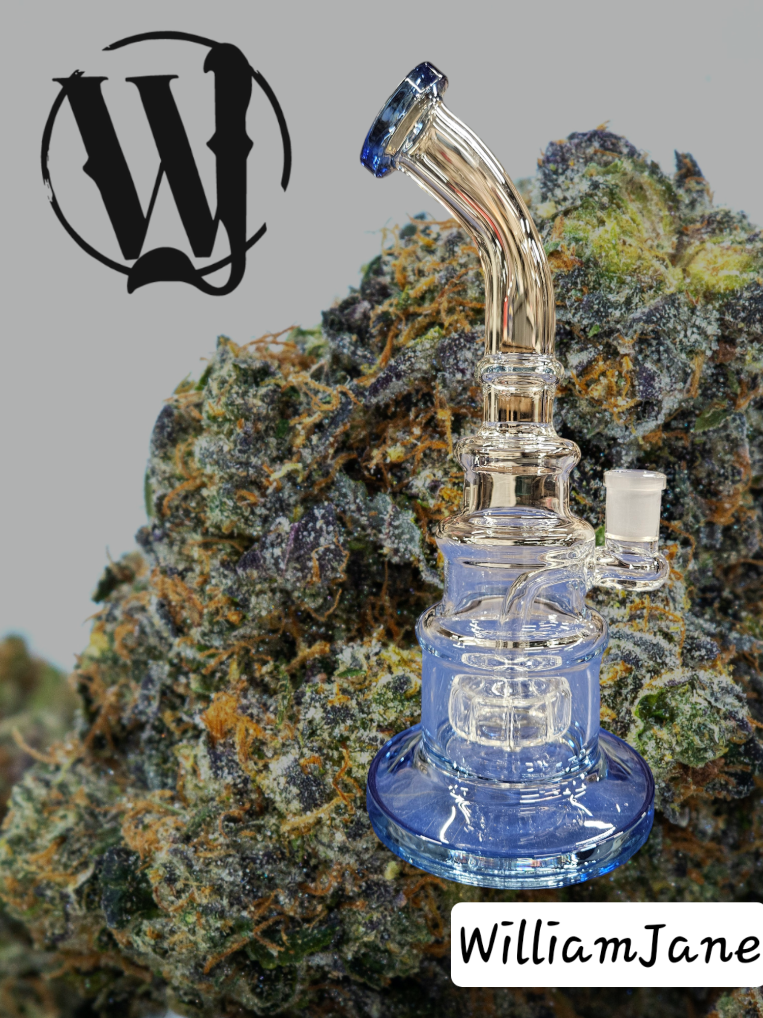Photograph of product: Black 4 Circle Splits Water Bong