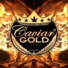 Photograph of product: Caviar Gold | Cavi Cone | Cloud Chaser | 1.5g Infused Pre-Roll