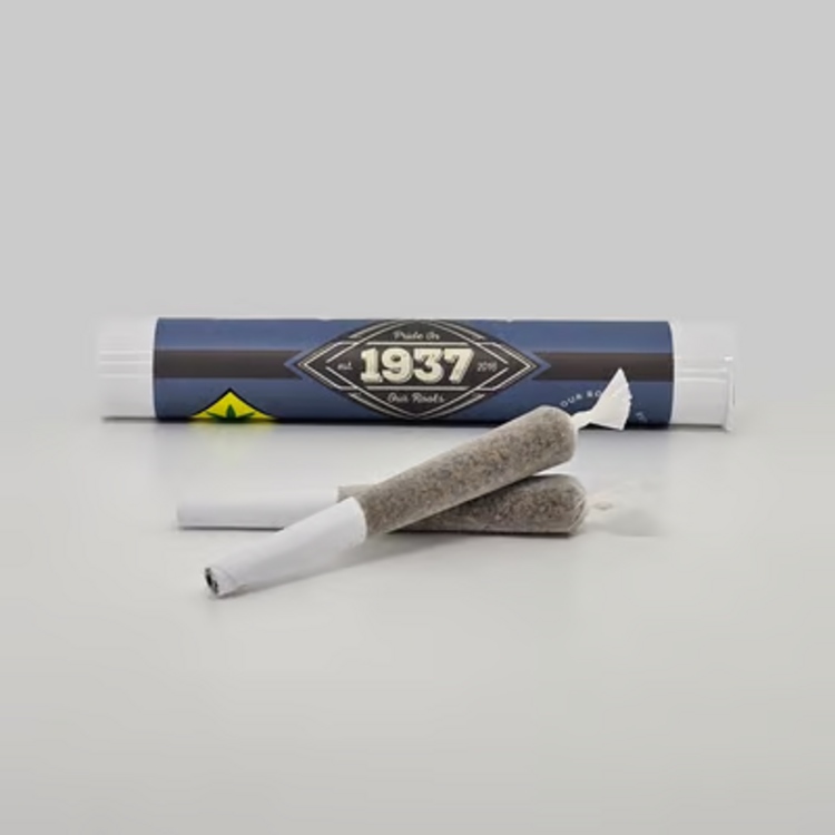 Photograph of product: 2pk PR Blueberry Muffins 1937