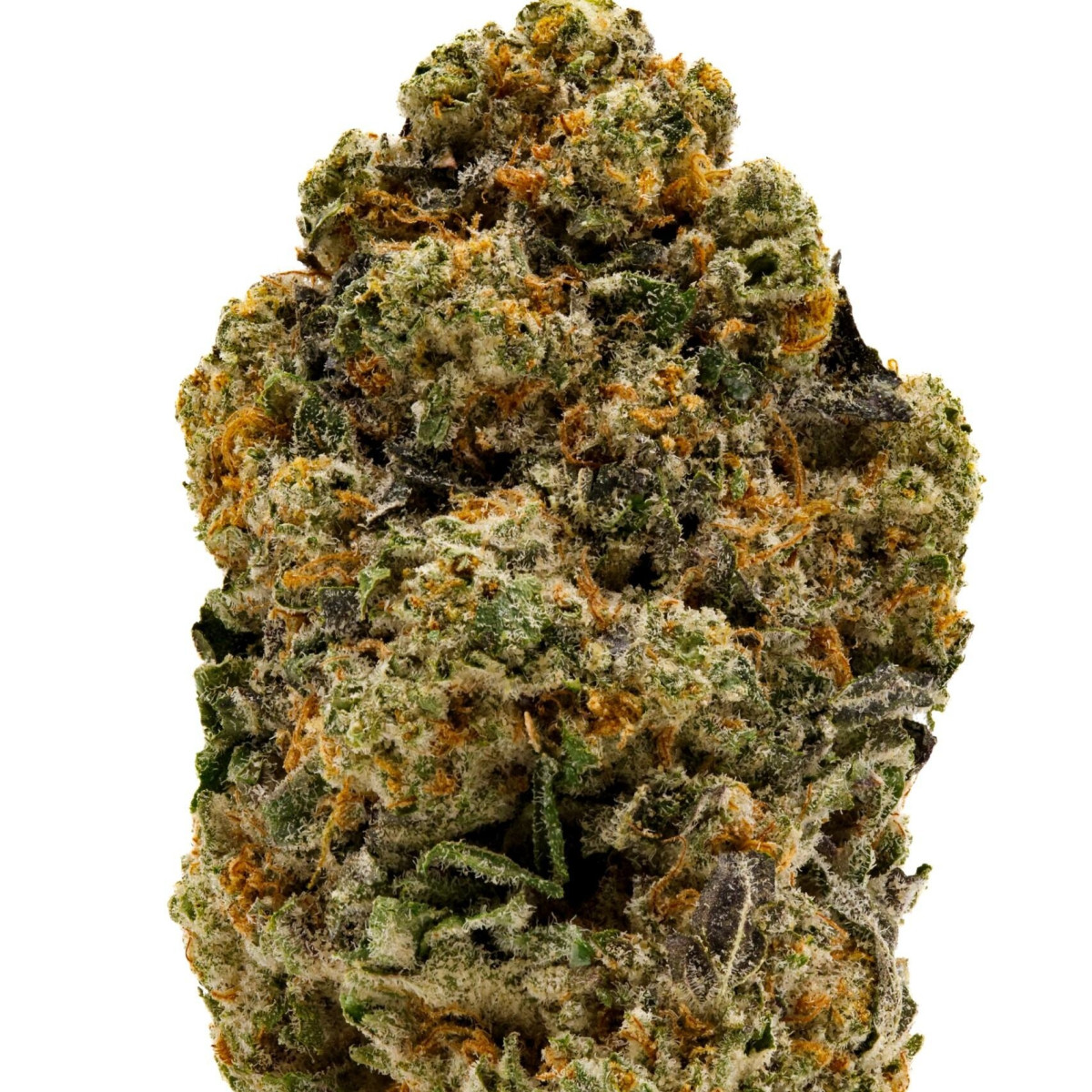 Photograph of product: Flora Farms | Cuban Affair - 14g