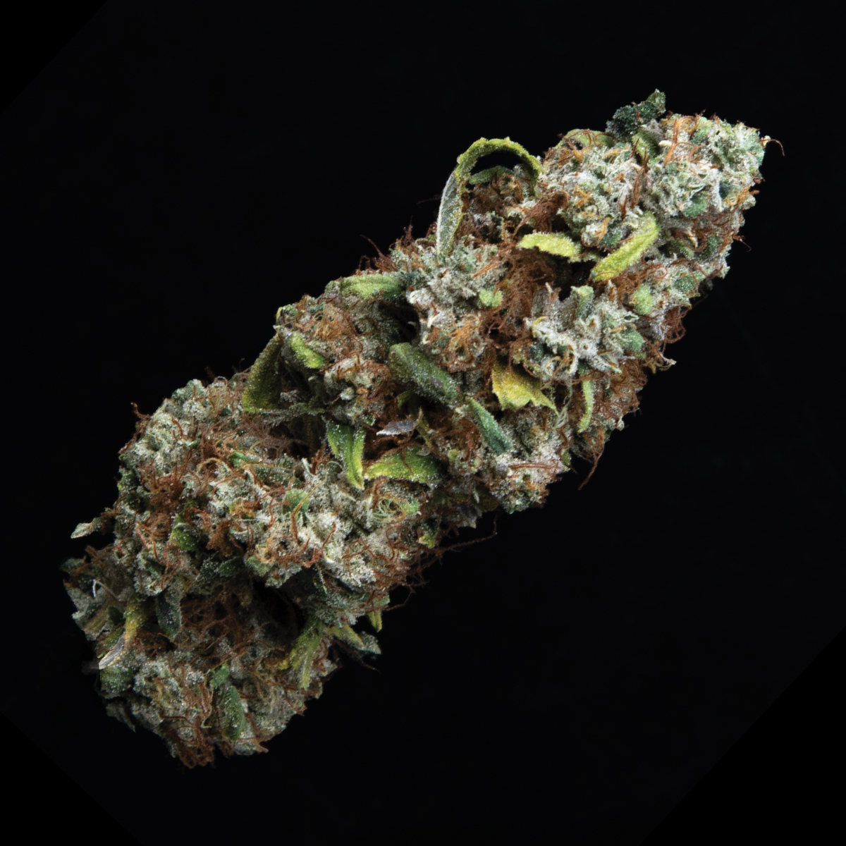 Photograph of Product: 3.5g Topanga Canyon Pure Kush